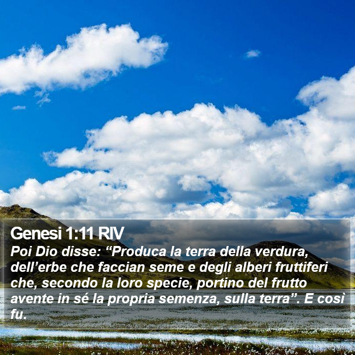 Genesi 1:11 RIV Bible Study