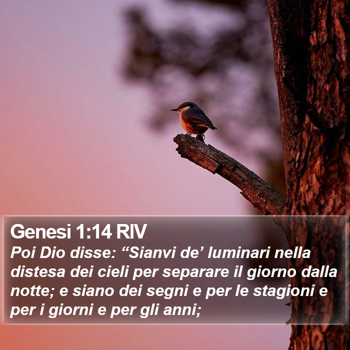 Genesi 1:14 RIV Bible Study