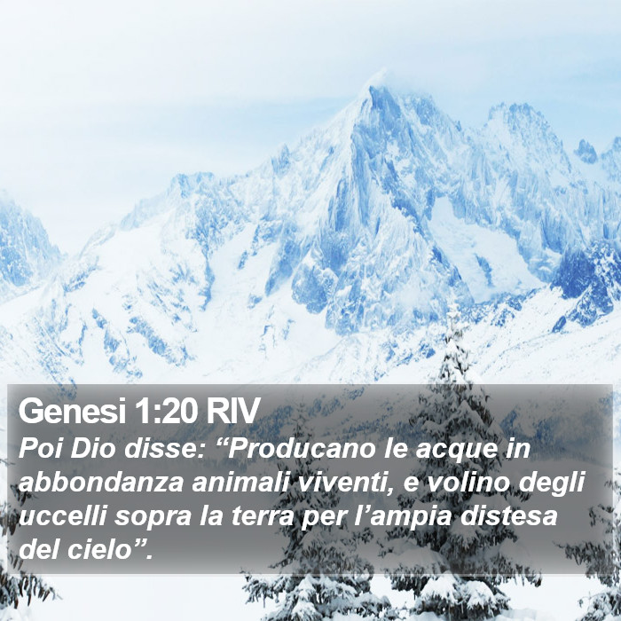 Genesi 1:20 RIV Bible Study