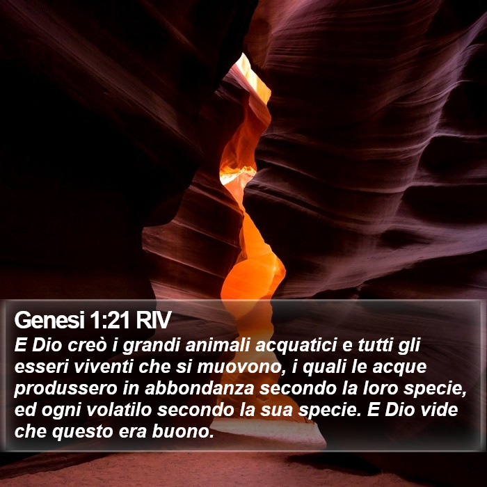 Genesi 1:21 RIV Bible Study