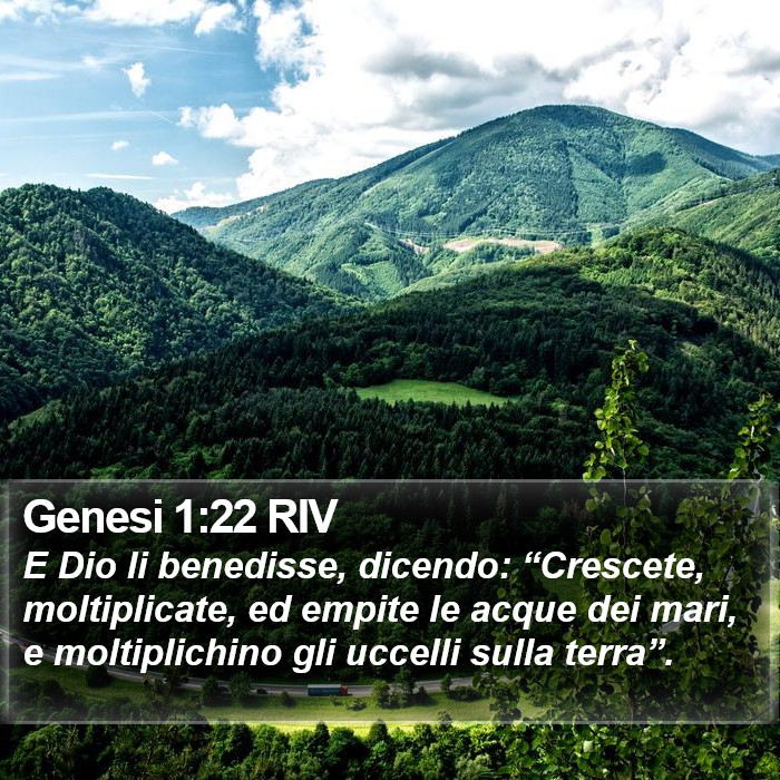 Genesi 1:22 RIV Bible Study