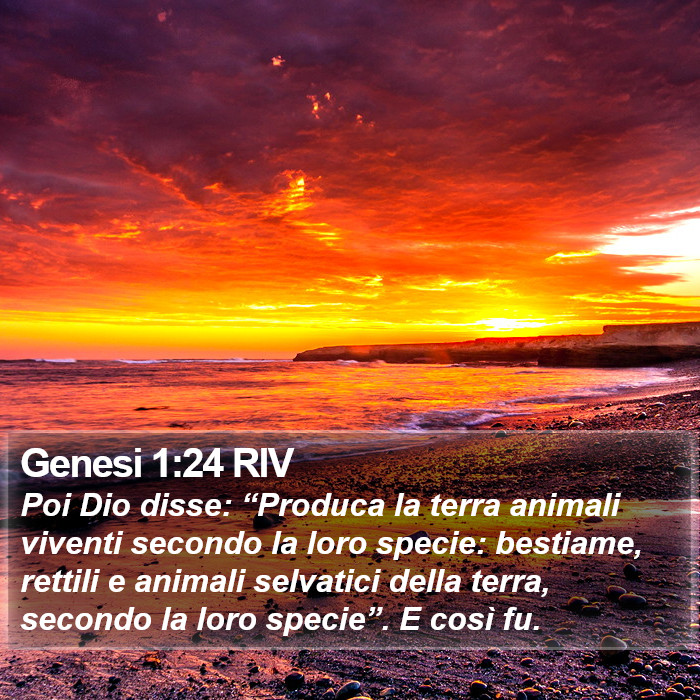 Genesi 1:24 RIV Bible Study