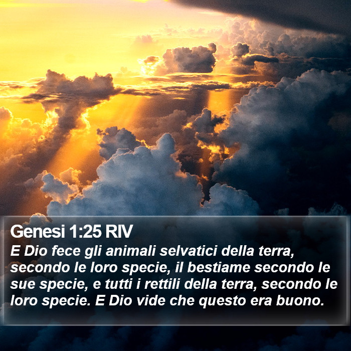 Genesi 1:25 RIV Bible Study