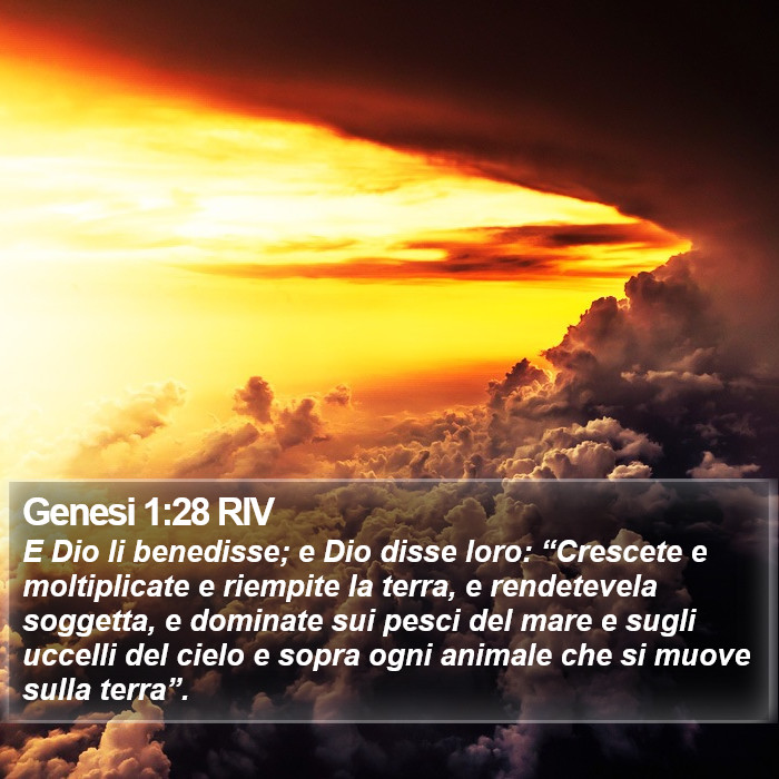 Genesi 1:28 RIV Bible Study