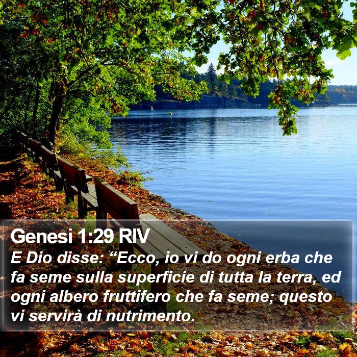 Genesi 1:29 RIV Bible Study