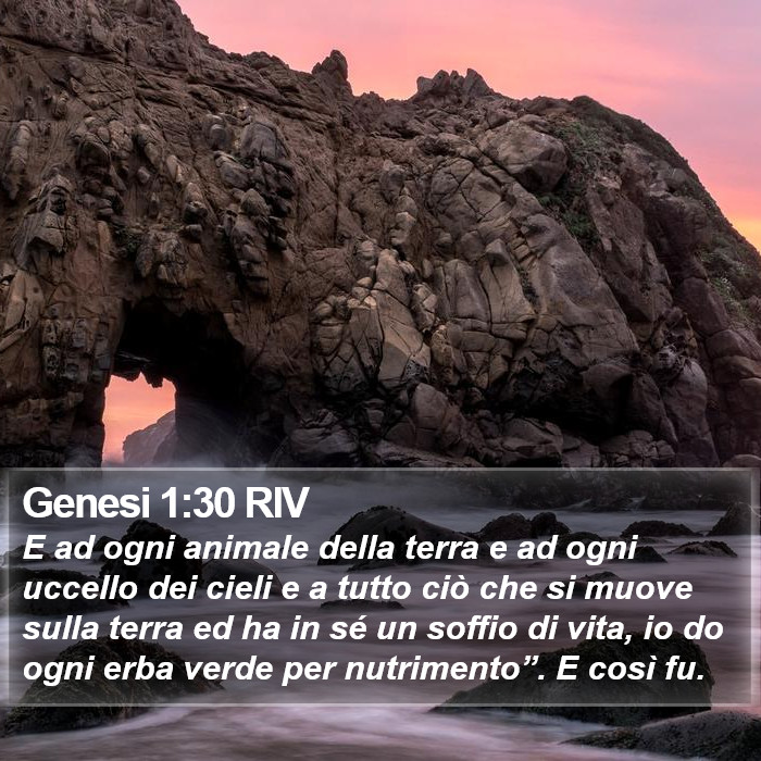 Genesi 1:30 RIV Bible Study