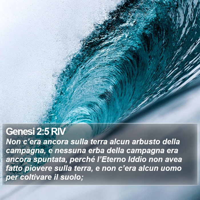 Genesi 2:5 RIV Bible Study