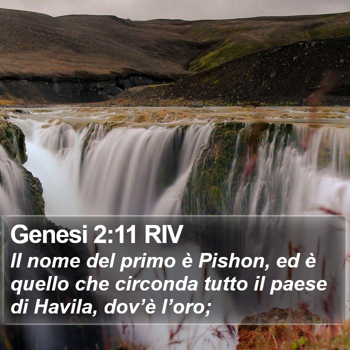 Genesi 2:11 RIV Bible Study