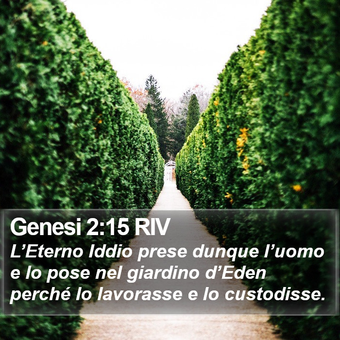 Genesi 2:15 RIV Bible Study