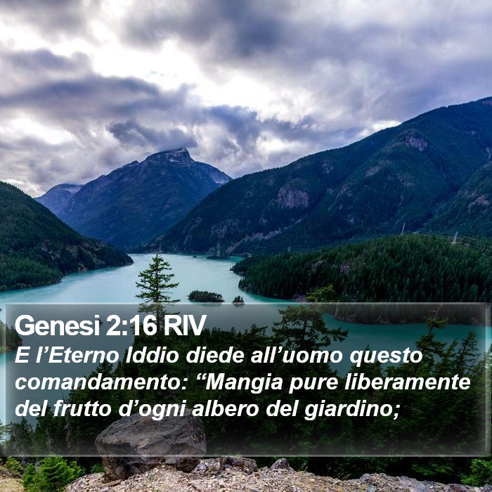 Genesi 2:16 RIV Bible Study