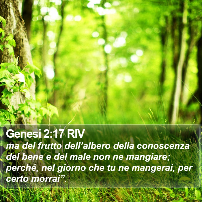 Genesi 2:17 RIV Bible Study