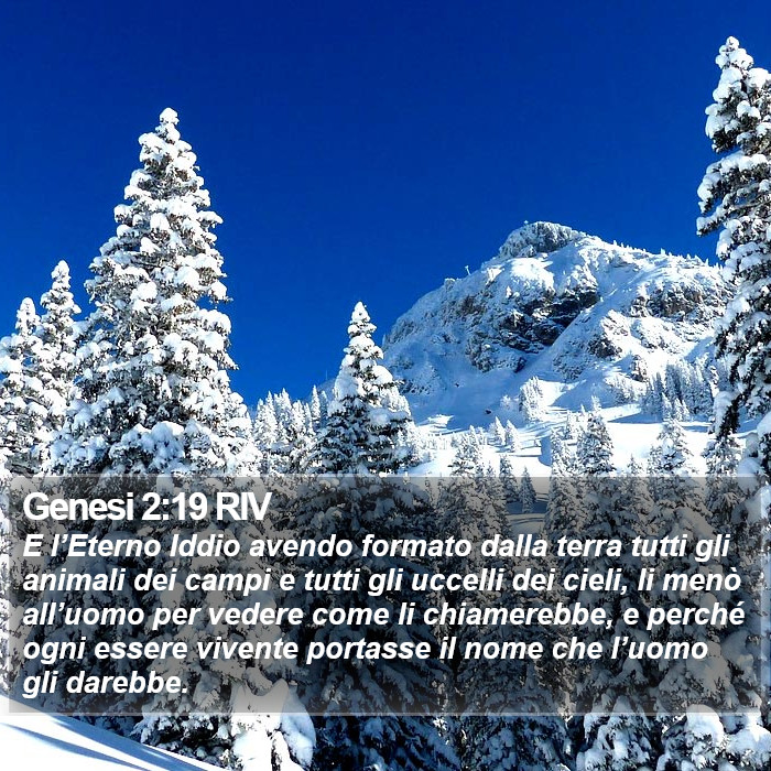 Genesi 2:19 RIV Bible Study