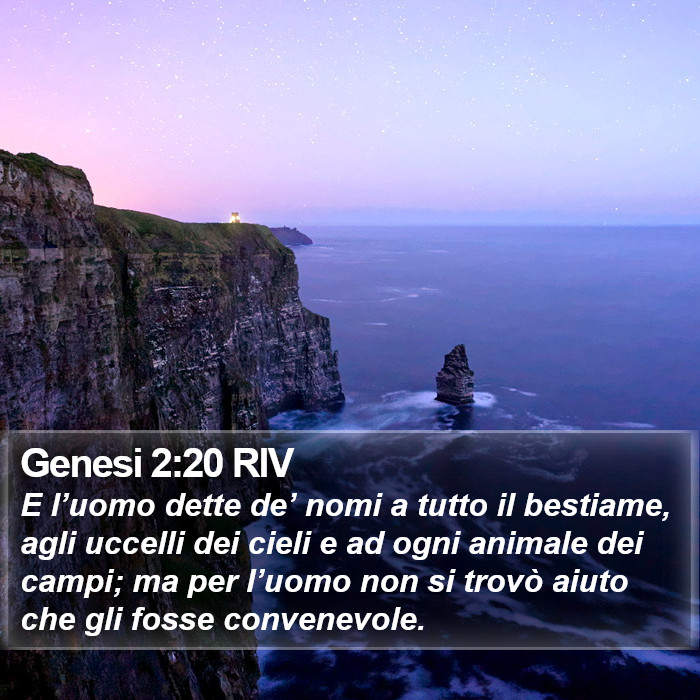 Genesi 2:20 RIV Bible Study