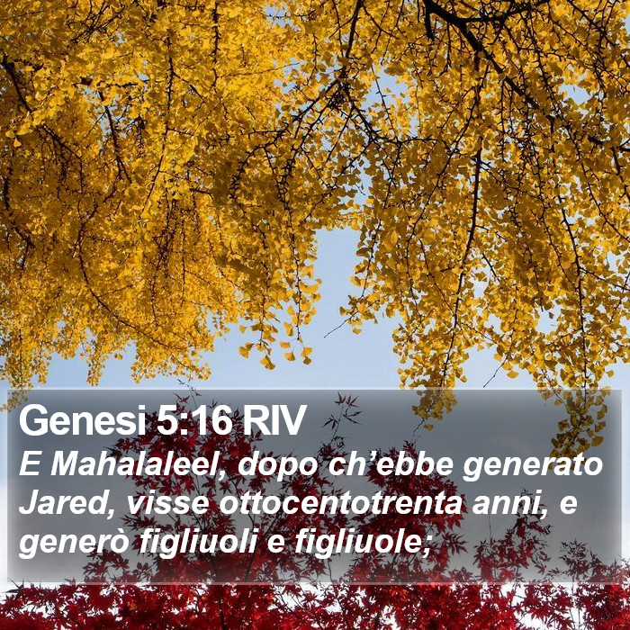 Genesi 5:16 RIV Bible Study