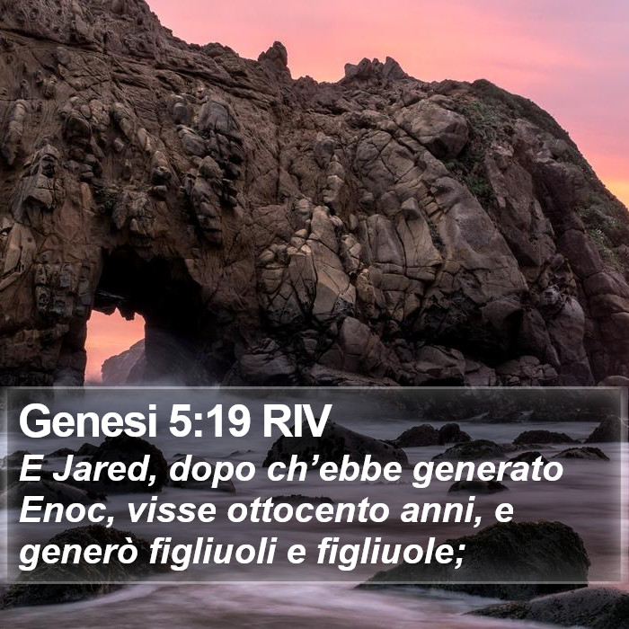 Genesi 5:19 RIV Bible Study