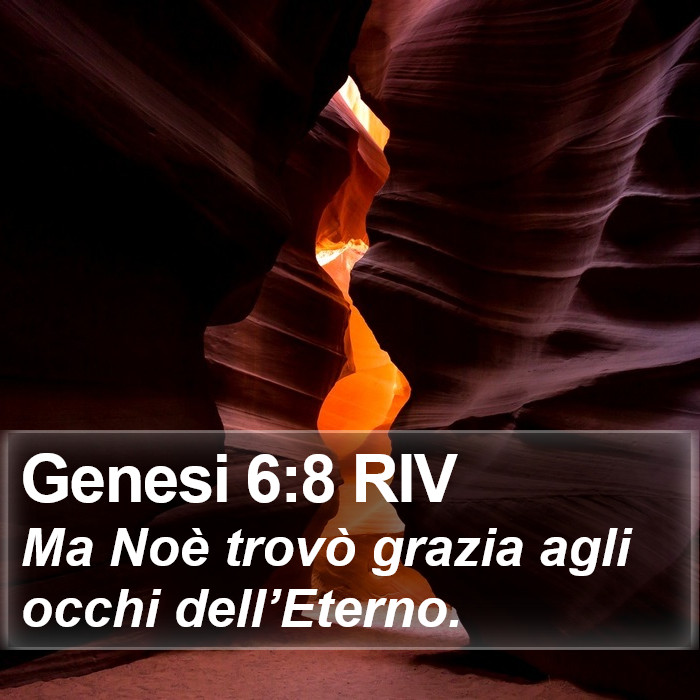 Genesi 6:8 RIV Bible Study