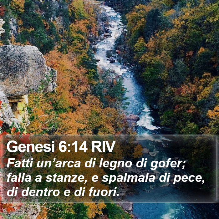 Genesi 6:14 RIV Bible Study