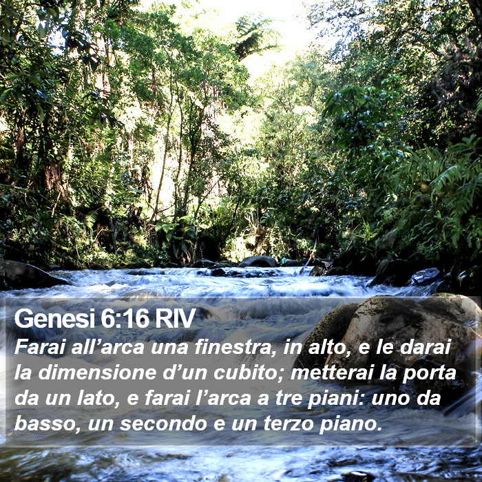 Genesi 6:16 RIV Bible Study