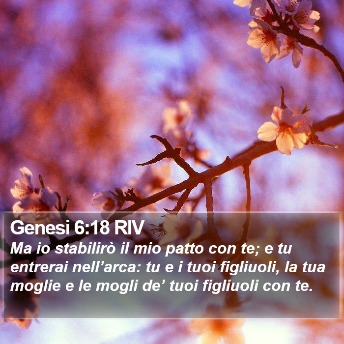 Genesi 6:18 RIV Bible Study