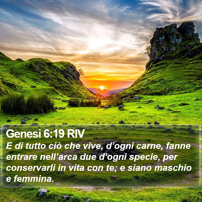 Genesi 6:19 RIV Bible Study