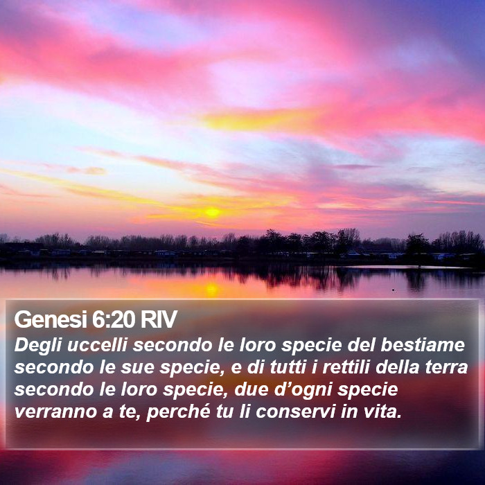 Genesi 6:20 RIV Bible Study