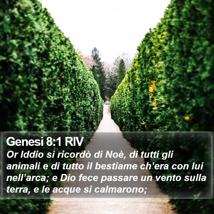 Genesi 8:1 RIV Bible Study