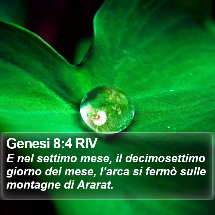 Genesi 8:4 RIV Bible Study