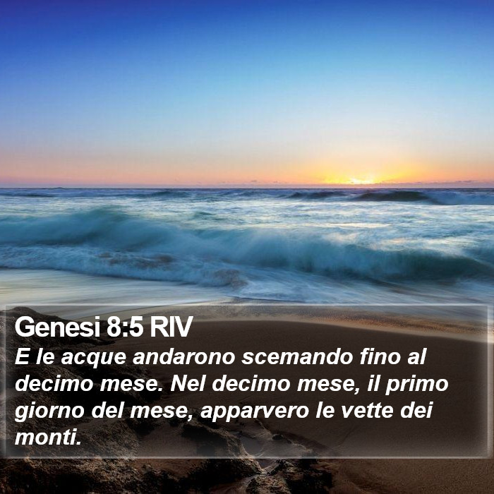 Genesi 8:5 RIV Bible Study