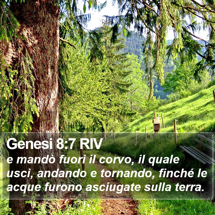 Genesi 8:7 RIV Bible Study