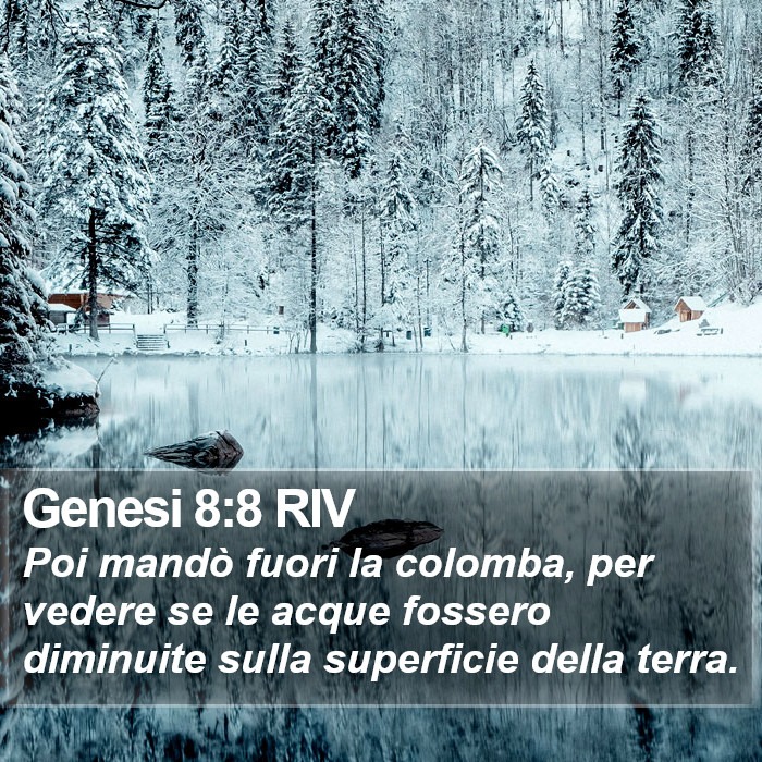 Genesi 8:8 RIV Bible Study