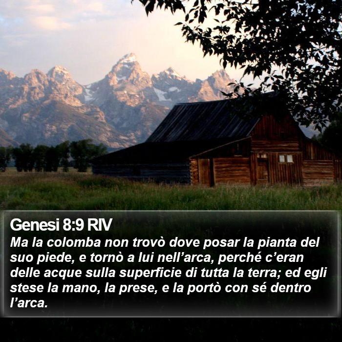 Genesi 8:9 RIV Bible Study