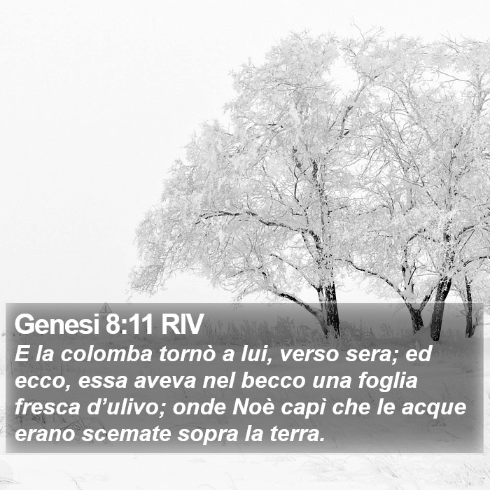 Genesi 8:11 RIV Bible Study