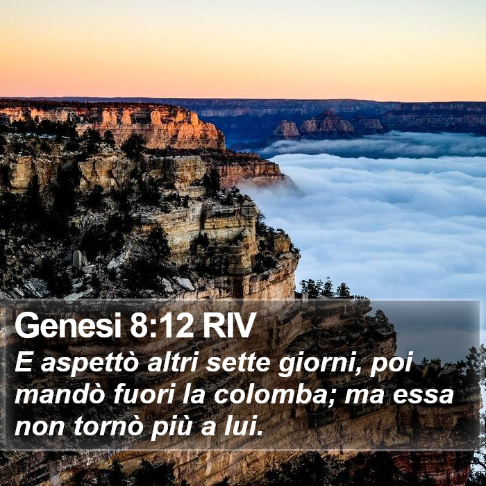 Genesi 8:12 RIV Bible Study