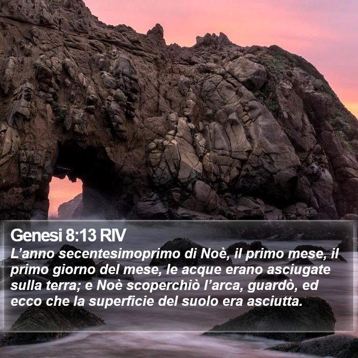 Genesi 8:13 RIV Bible Study