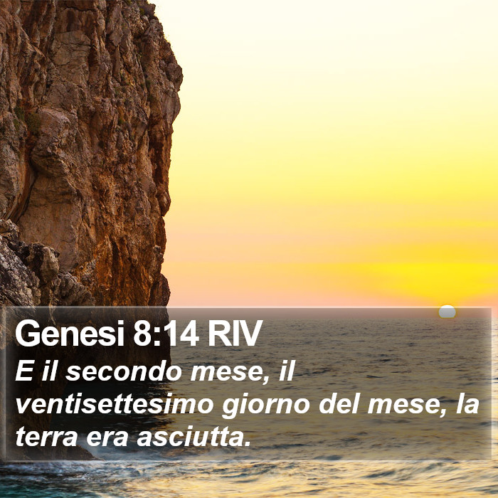 Genesi 8:14 RIV Bible Study