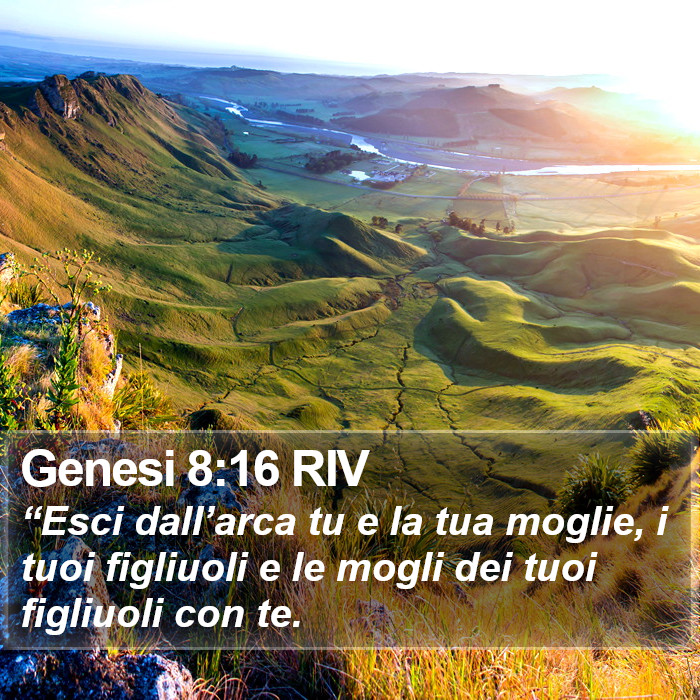 Genesi 8:16 RIV Bible Study