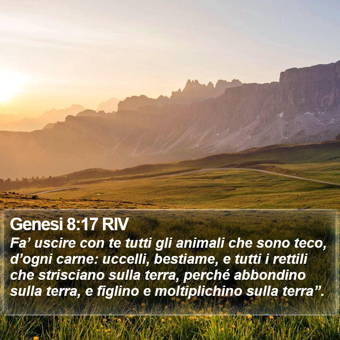 Genesi 8:17 RIV Bible Study