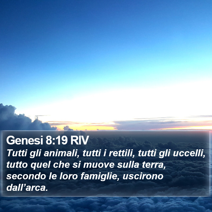 Genesi 8:19 RIV Bible Study