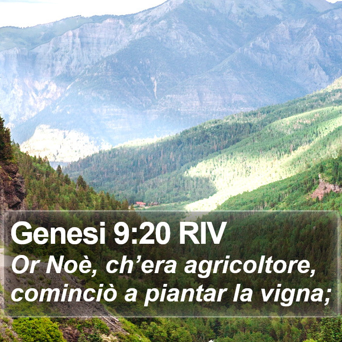 Genesi 9:20 RIV Bible Study