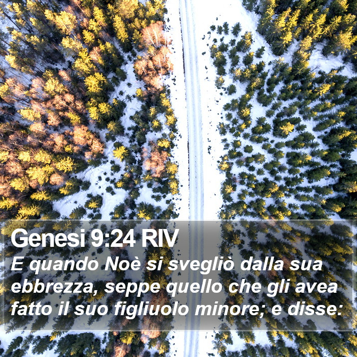Genesi 9:24 RIV Bible Study