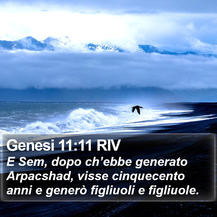Genesi 11:11 RIV Bible Study