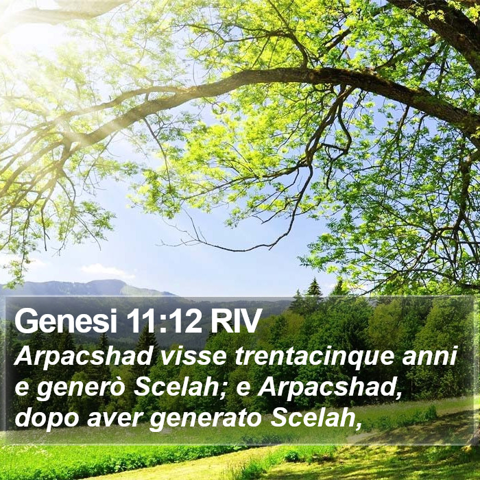 Genesi 11:12 RIV Bible Study