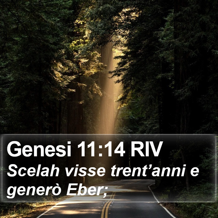 Genesi 11:14 RIV Bible Study