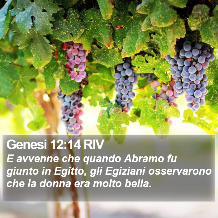 Genesi 12:14 RIV Bible Study