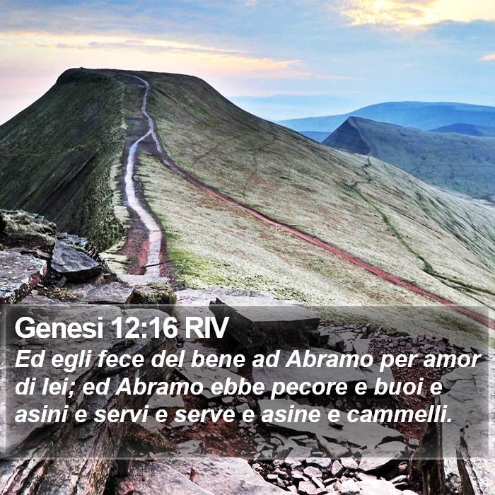 Genesi 12:16 RIV Bible Study