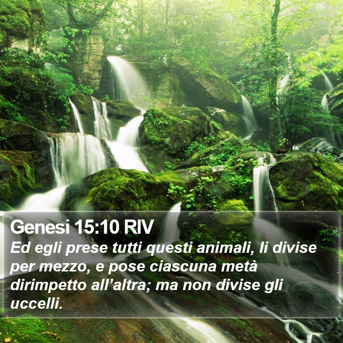 Genesi 15:10 RIV Bible Study