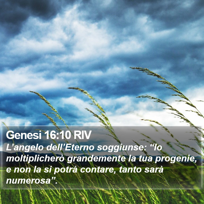 Genesi 16:10 RIV Bible Study