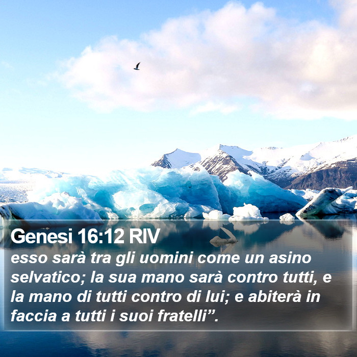 Genesi 16:12 RIV Bible Study
