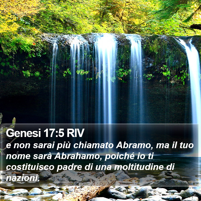 Genesi 17:5 RIV Bible Study