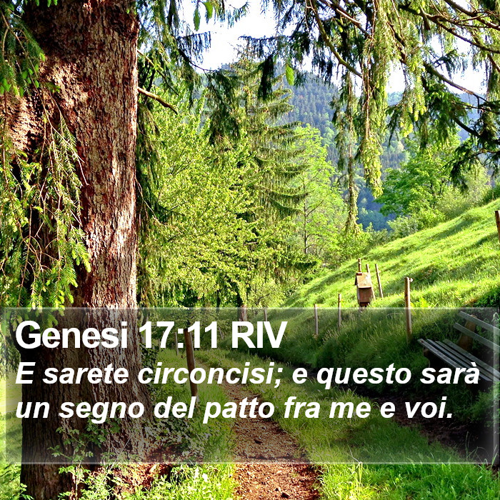 Genesi 17:11 RIV Bible Study